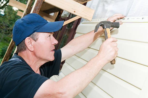 Best Siding Painting and Refinishing  in Arlington, VA