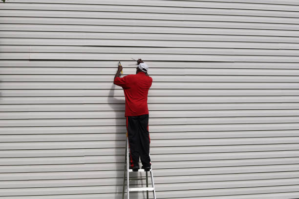 Affordable Siding Repair and Maintenance Services in Arlington, VA